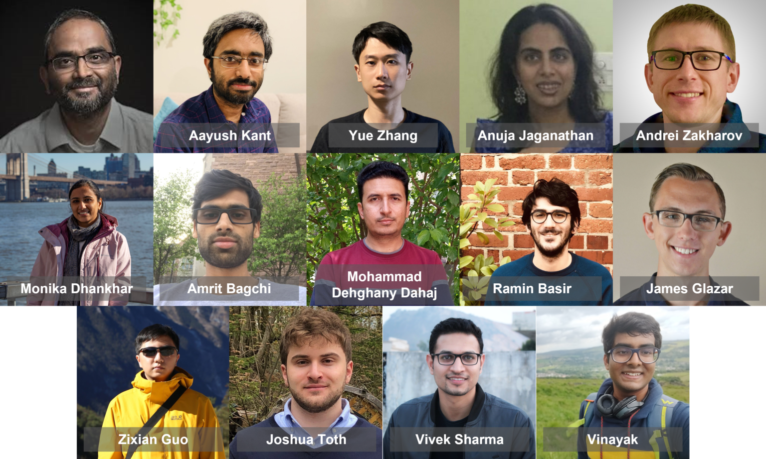 Team Multiscale Mechanobiology and Biomaterials Laboratory